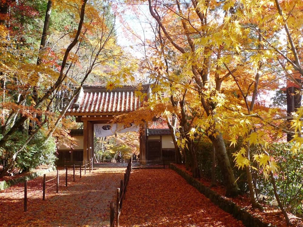 Địa điểm ngắm lá đỏ Kyoto
